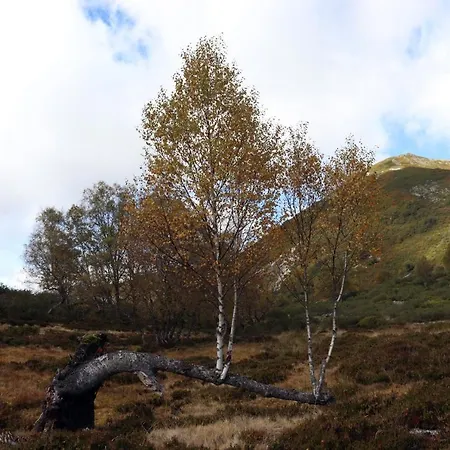 펜션 Vut Corea324 *