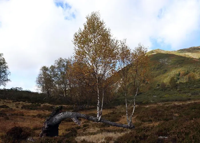 펜션 Vut Corea324 *